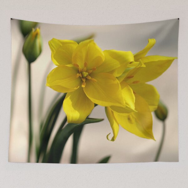 Item preview, It's a Bright Sunshiny Day designed and sold by cuprum.