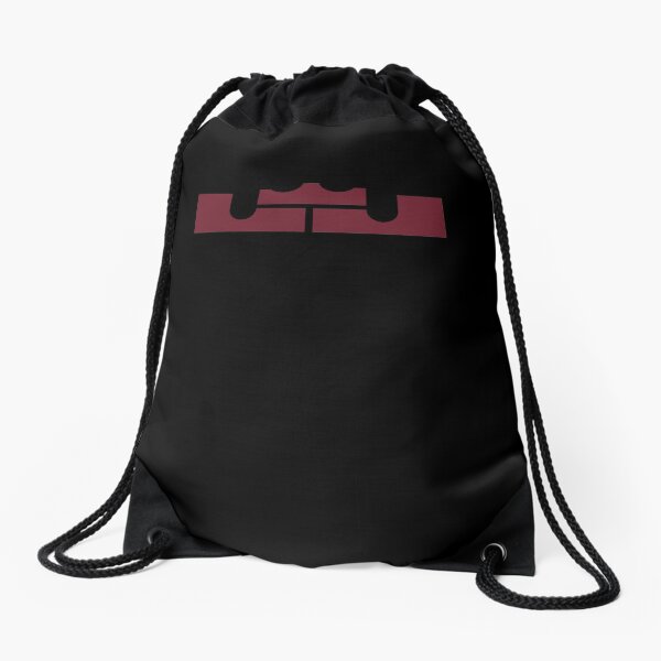 Lebron basketball outlet bag