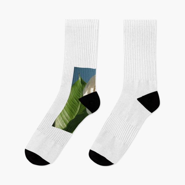 Item preview, White Anthurium designed and sold by Ana Belaj.