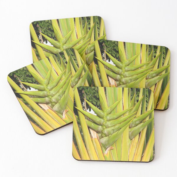 Item preview, Traveller's Palm designed and sold by Linda Walsh.