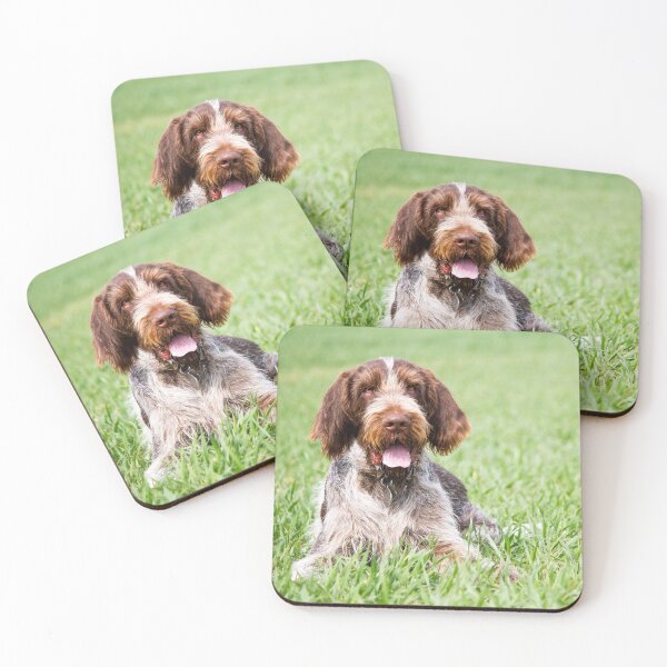 Item preview, Lying in the grass Spinone by heidiannemorris designed and sold by FOLK ART FUSION by heidiannemorris.