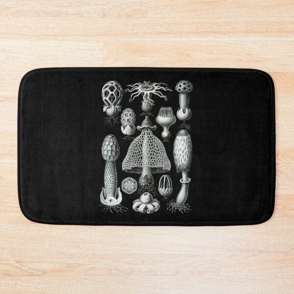 Item preview, Ernst Haeckel - Basimycetes (Mushrooms) designed and sold by ShaMiLaB.