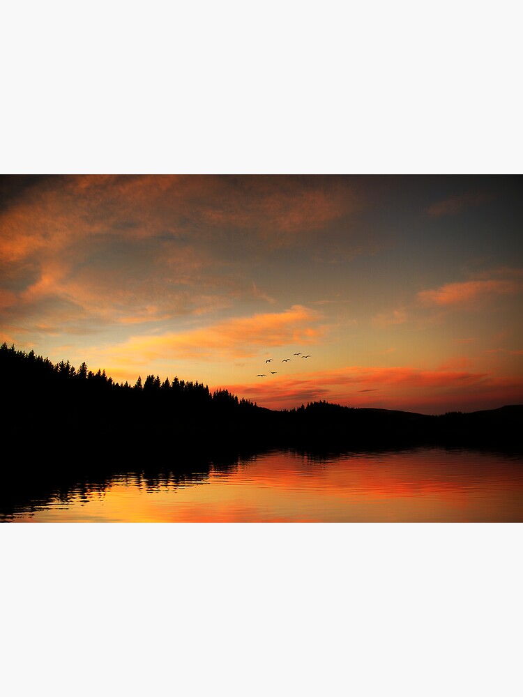 Ard Dawn (1) by Shuggie