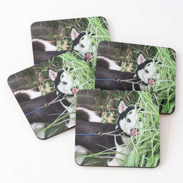 Item preview, Pee-a-boo Husky Photograph designed and sold by bipolarvirgoart.