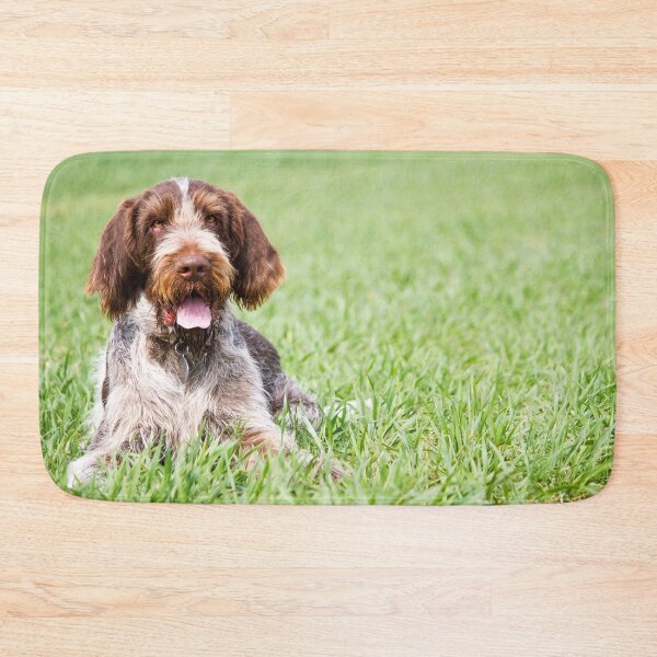 Item preview, Lying in the grass Spinone by heidiannemorris designed and sold by FOLK ART FUSION by heidiannemorris.