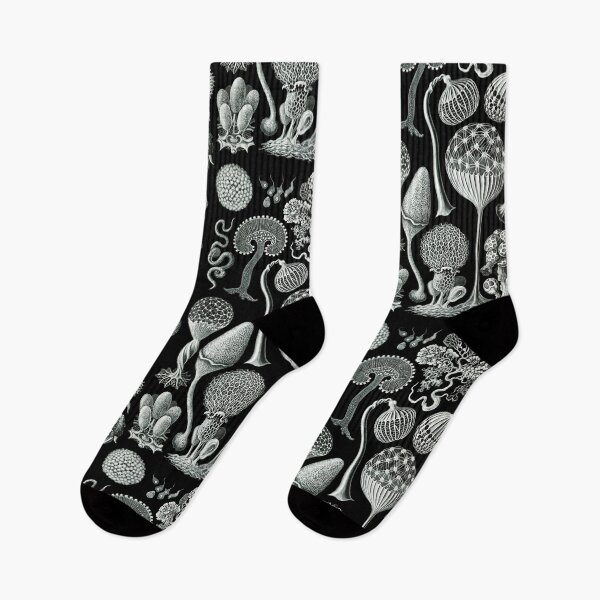 Item preview, Ernst Haeckel - Mycetozoa (black) designed and sold by ShaMiLaB.