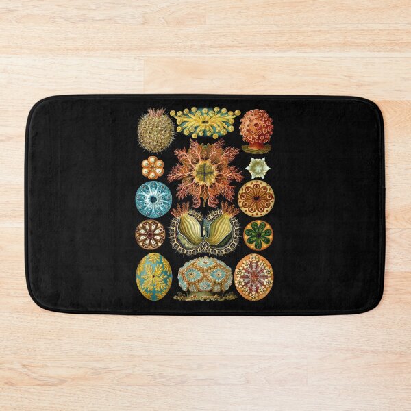 Item preview, Ernst Haeckel - Scientific Illustration - Ascidiae designed and sold by ShaMiLaB.