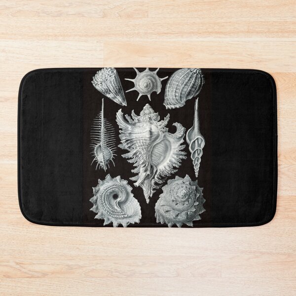 Item preview, Ernst Haeckel - Prosobranchia designed and sold by ShaMiLaB.