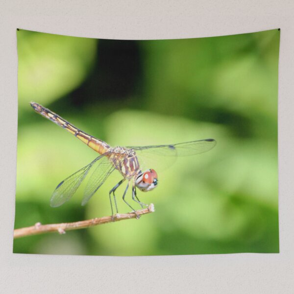 Item preview, Dragon Fly 3 designed and sold by Susie Kramer.