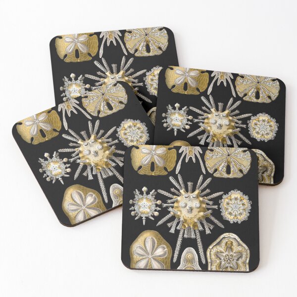 Item preview, Ernst Haeckel - Scientific Illustration - Echinidea (Sea Urchins) designed and sold by ShaMiLaB.