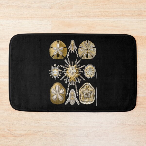 Item preview, Ernst Haeckel - Scientific Illustration - Echinidea (Sea Urchins) designed and sold by ShaMiLaB.
