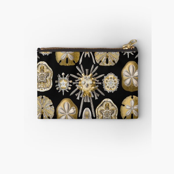 Item preview, Ernst Haeckel - Scientific Illustration - Echinidea (Sea Urchins) designed and sold by ShaMiLaB.