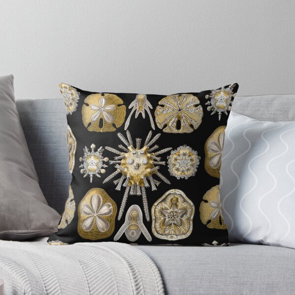 Item preview, Ernst Haeckel - Scientific Illustration - Echinidea (Sea Urchins) designed and sold by ShaMiLaB.