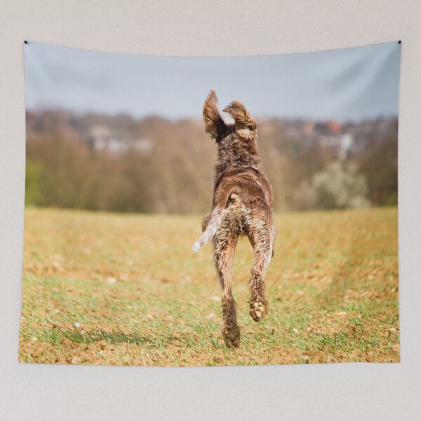 Item preview, Free flying ears Spinone by heidiannemorris © designed and sold by FOLK ART FUSION by heidiannemorris.
