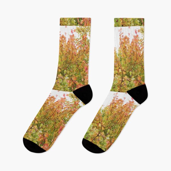 Item preview, A Wash Of Yellow Maples designed and sold by RVogler.