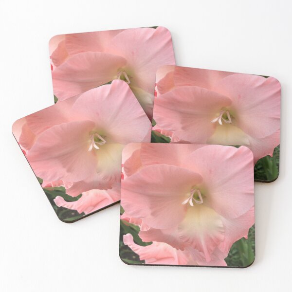 Item preview, Gladiolus  designed and sold by jdphotos.