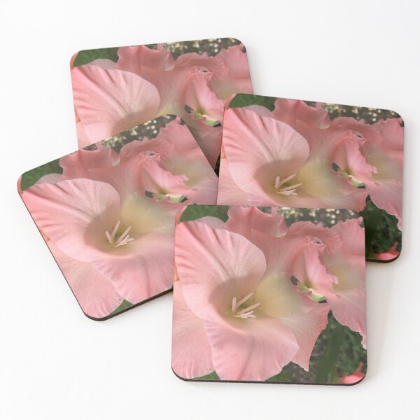 Item preview, Gladiolus  designed and sold by jdphotos.