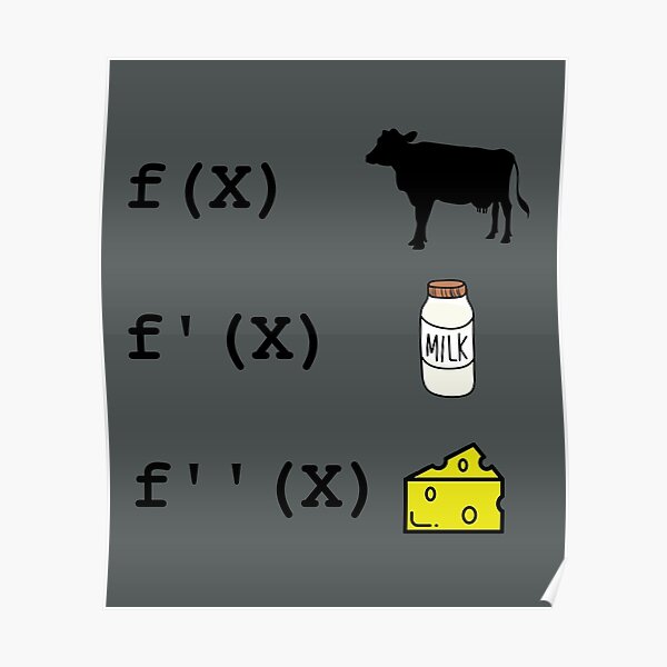 Drôle Dérivée Analyse Mathématiques Professeur de Maths Poster