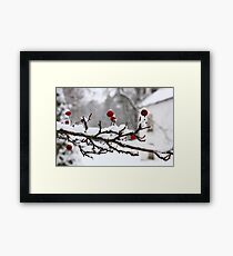 Survival Framed Print