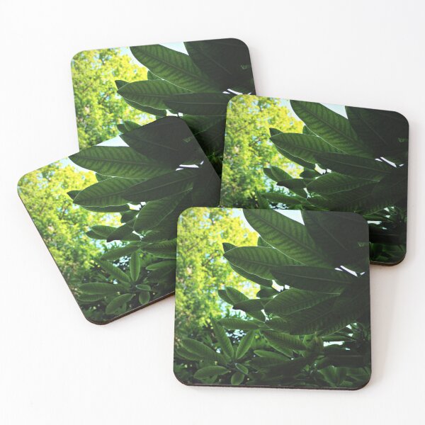 Item preview, Underneath the Leaves designed and sold by Ms-Bexy.