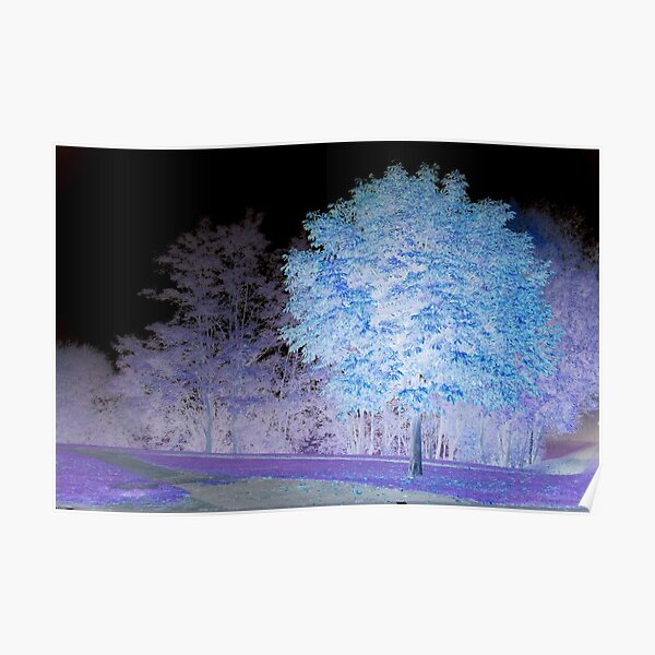 Inverted chestnut in blue-purple Poster
