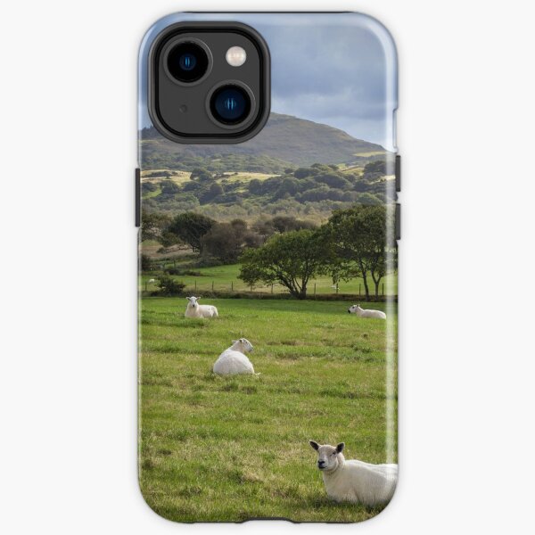 Moel y Gest iPhone Tough Case