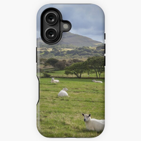 Moel y Gest iPhone Tough Case