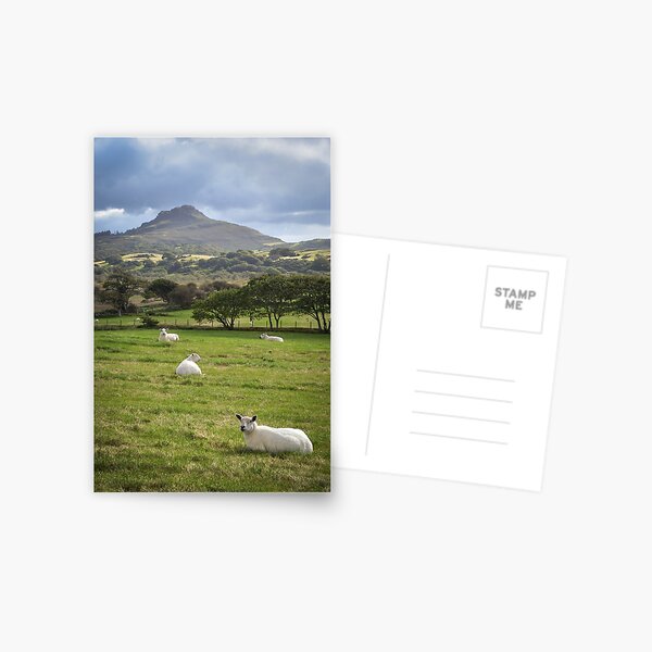 Moel y Gest Postcard