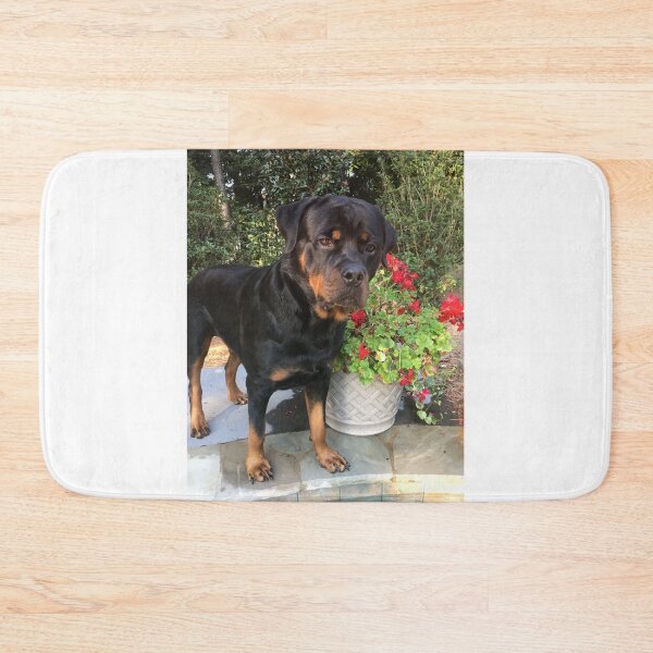 Item preview, Handsome boy  designed and sold by BOBBYBABE.