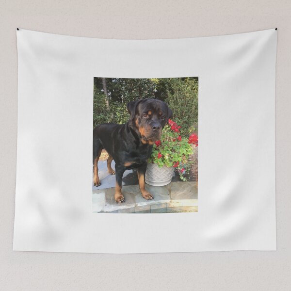 Item preview, Handsome boy  designed and sold by BOBBYBABE.
