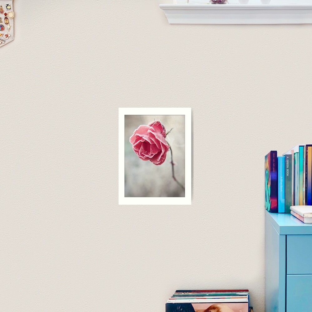 Frosted Red Rose Art Print
