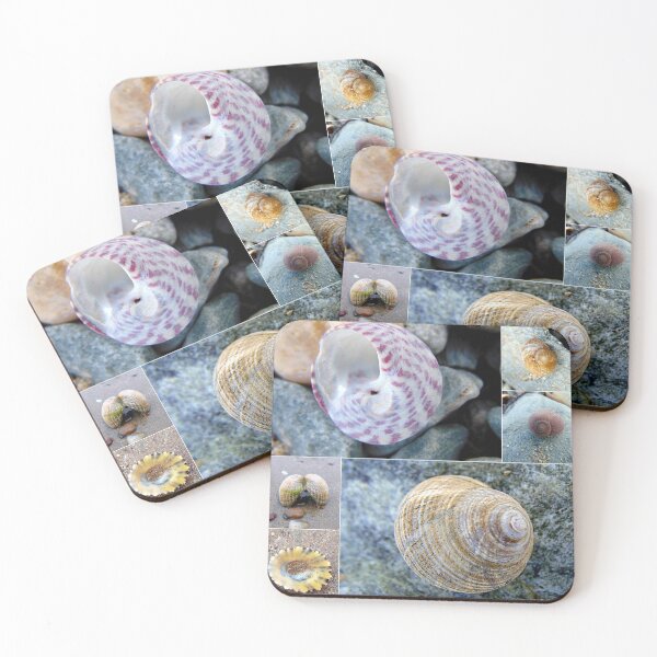 Item preview, shell designed and sold by KathleenDawson.
