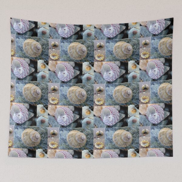 Item preview, shell designed and sold by KathleenDawson.
