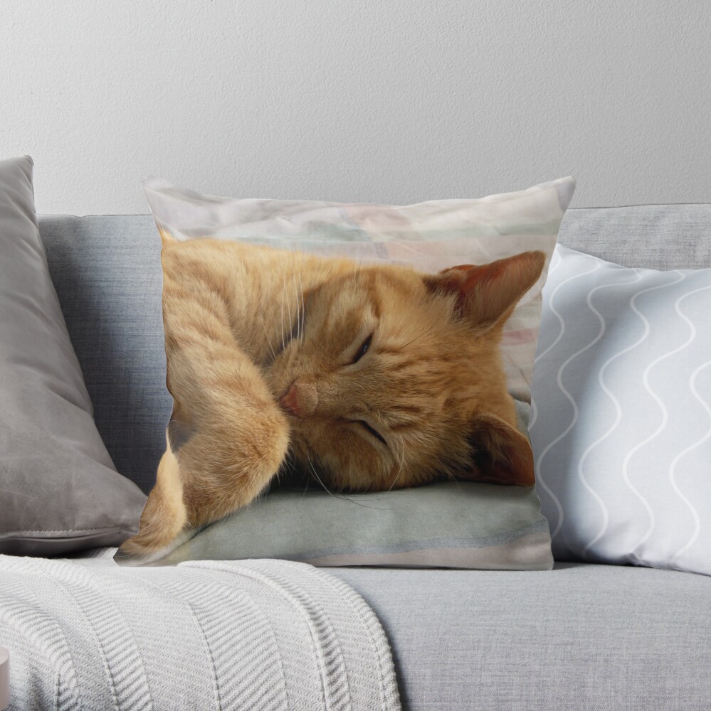 Ginger Cat Sleeping Throw Pillow