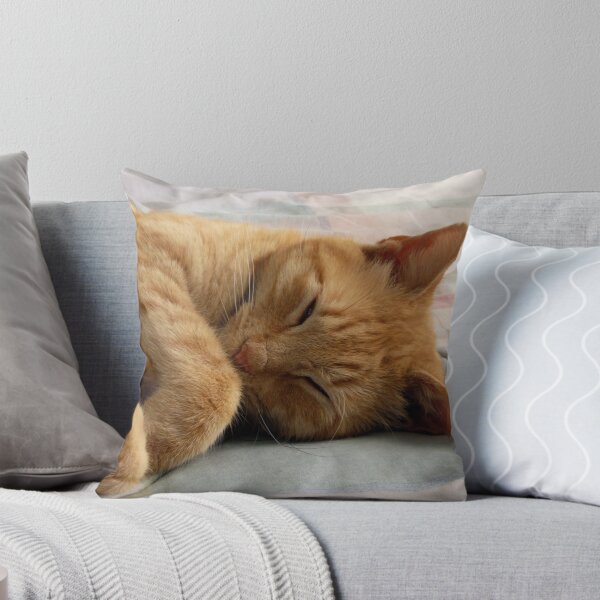 Item preview, Ginger Cat Sleeping designed and sold by Frankie Cat Photography.