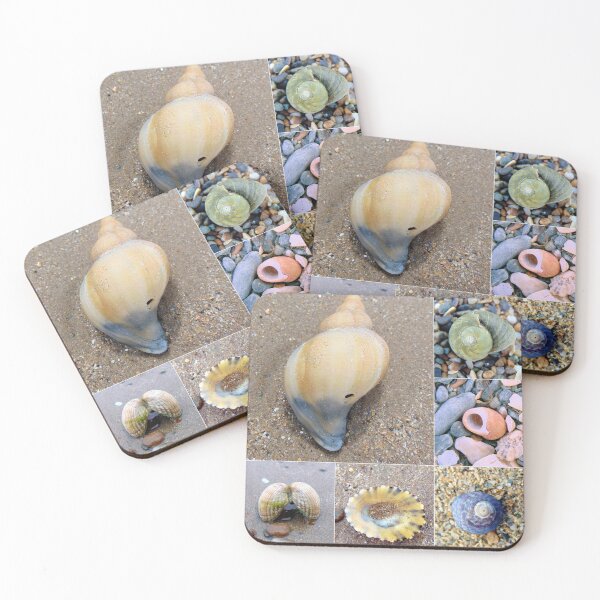 Item preview, shells designed and sold by KathleenDawson.