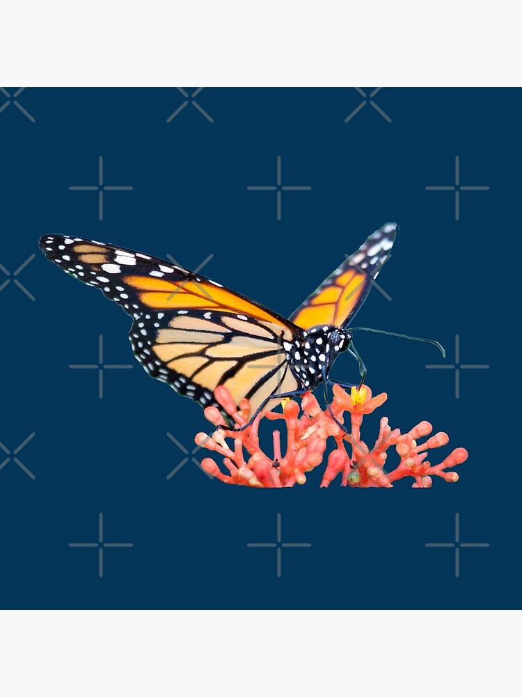 Thumbnail 2 von 2, Stofftasche, Geschenkidee Schmetterling Monarchfalter auf Blüte designt und verkauft von Igelchen.