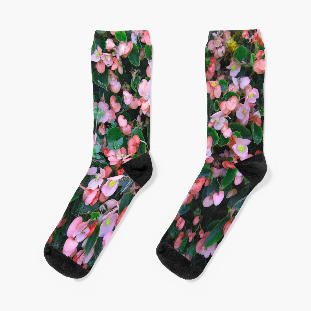 Bloomin Begonias Socks