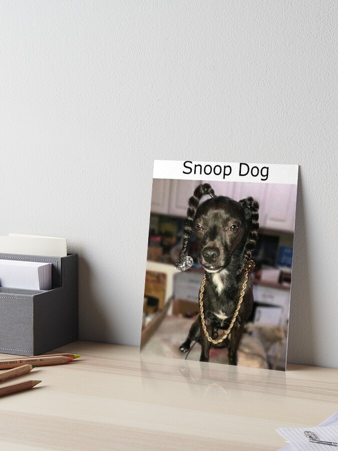 Impression rigide for Sale avec l'œuvre « Mème de chien Snoop » de