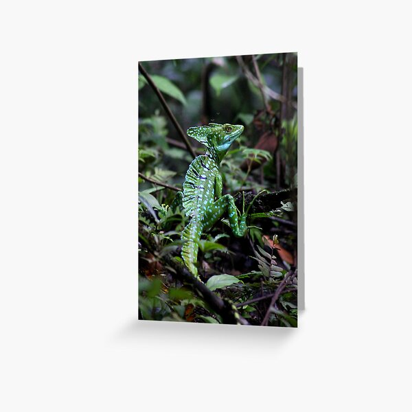 Item preview, Green Basilisk designed and sold by Robbie Labanowski.