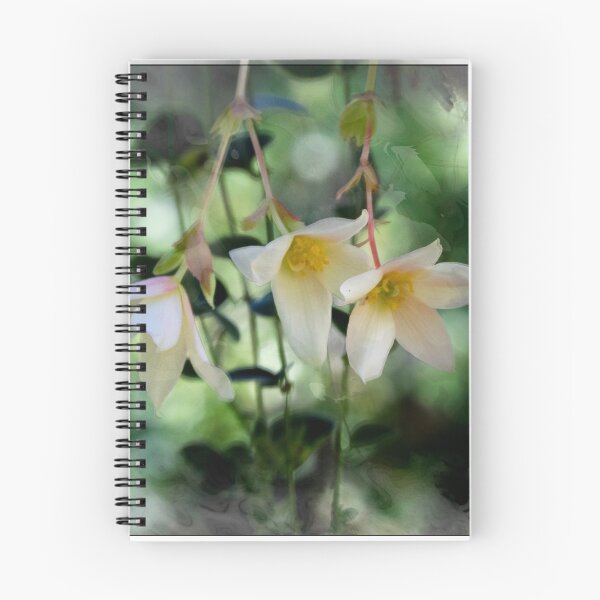 Item preview, Weep Softly designed and sold by John Rivera.