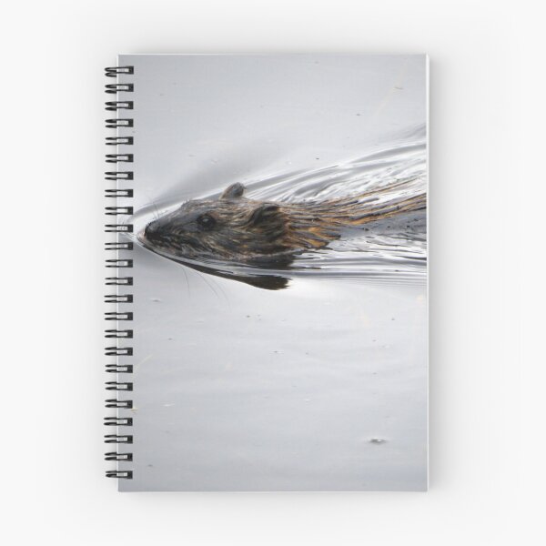 Item preview, Otter in the lake designed and sold by Ms-Bexy.