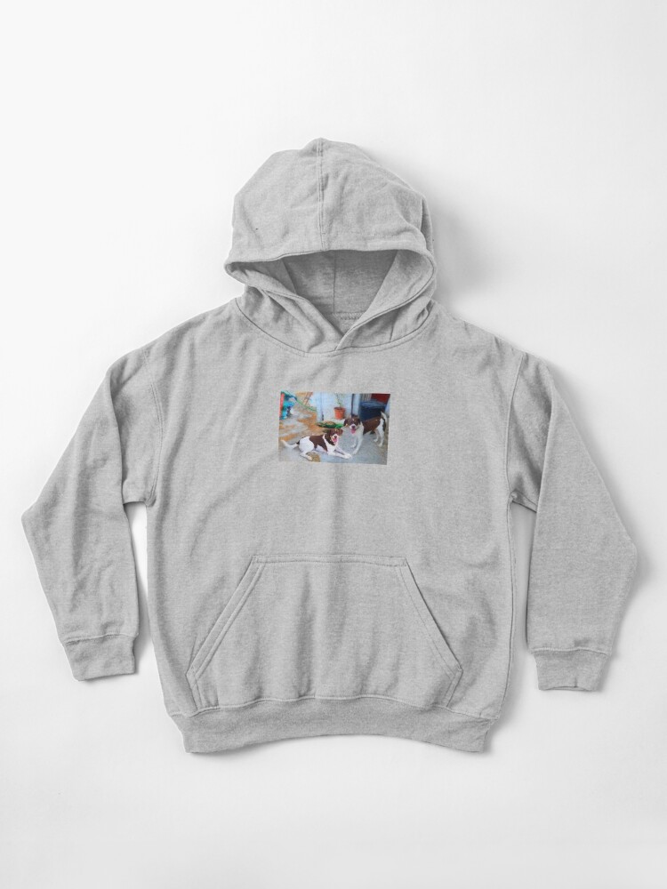 double trouble hoodie