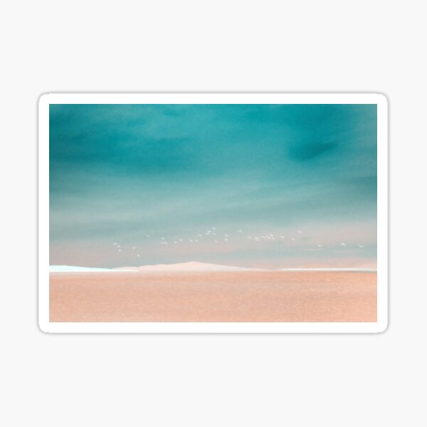 Seagulls off the coast Sticker
