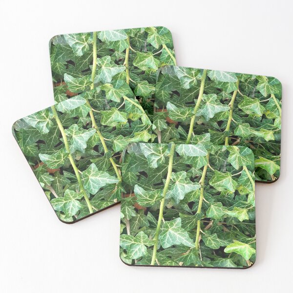 Item preview, Hedera helix ivy designed and sold by tony4urban.