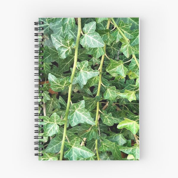 Item preview, Hedera helix ivy designed and sold by tony4urban.