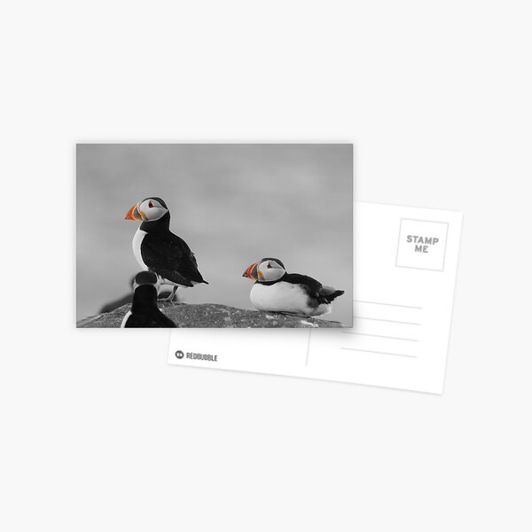 Puffin Rock Postal