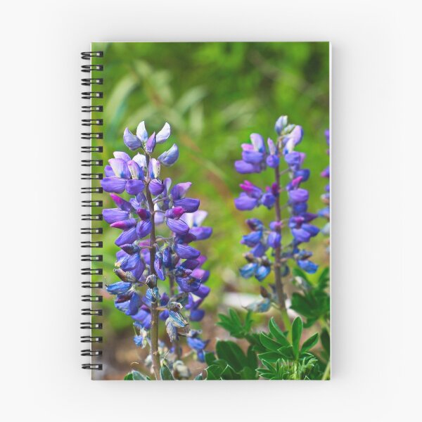 Item preview, Lupines (Lupinus) Flower designed and sold by ADM  Photography.