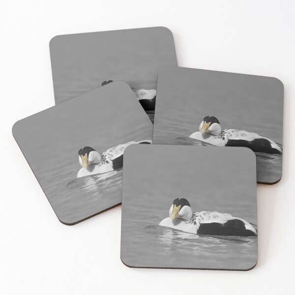 Item preview, Eider duck  designed and sold by miradorpictures.