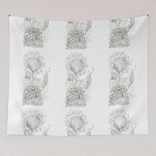 Item preview, Carnivorous plant/ Drosera rotundifolia designed and sold by NataliaMotta.